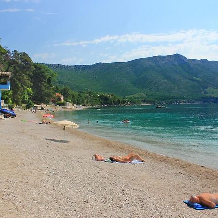 Apartments With A Parking Space Orebic, Peljesac - 10157 Exteriör bild